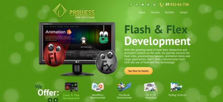 flash and flex development